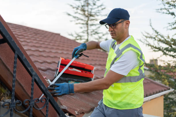 Best Batt and Roll Insulation  in Grandwood Park, IL